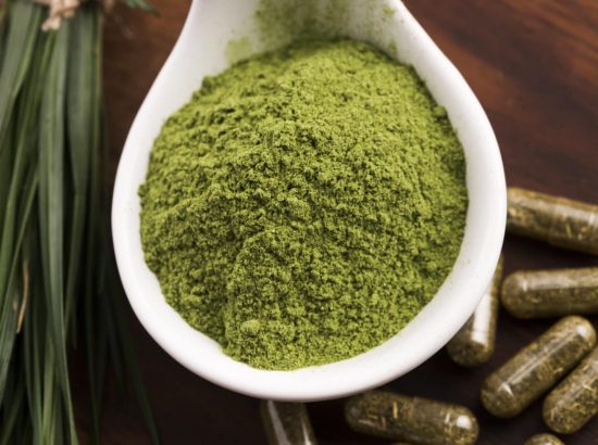 Kratom in the Spotlight Exploring the Herb’s Controversial Role in Health and Healing