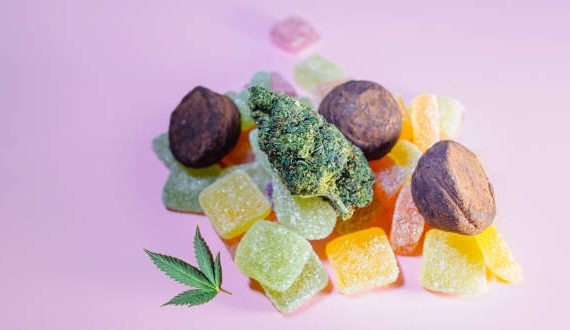 CRPSC THC Gummies SEO SEO Strategies for Niche Cannabis Websites